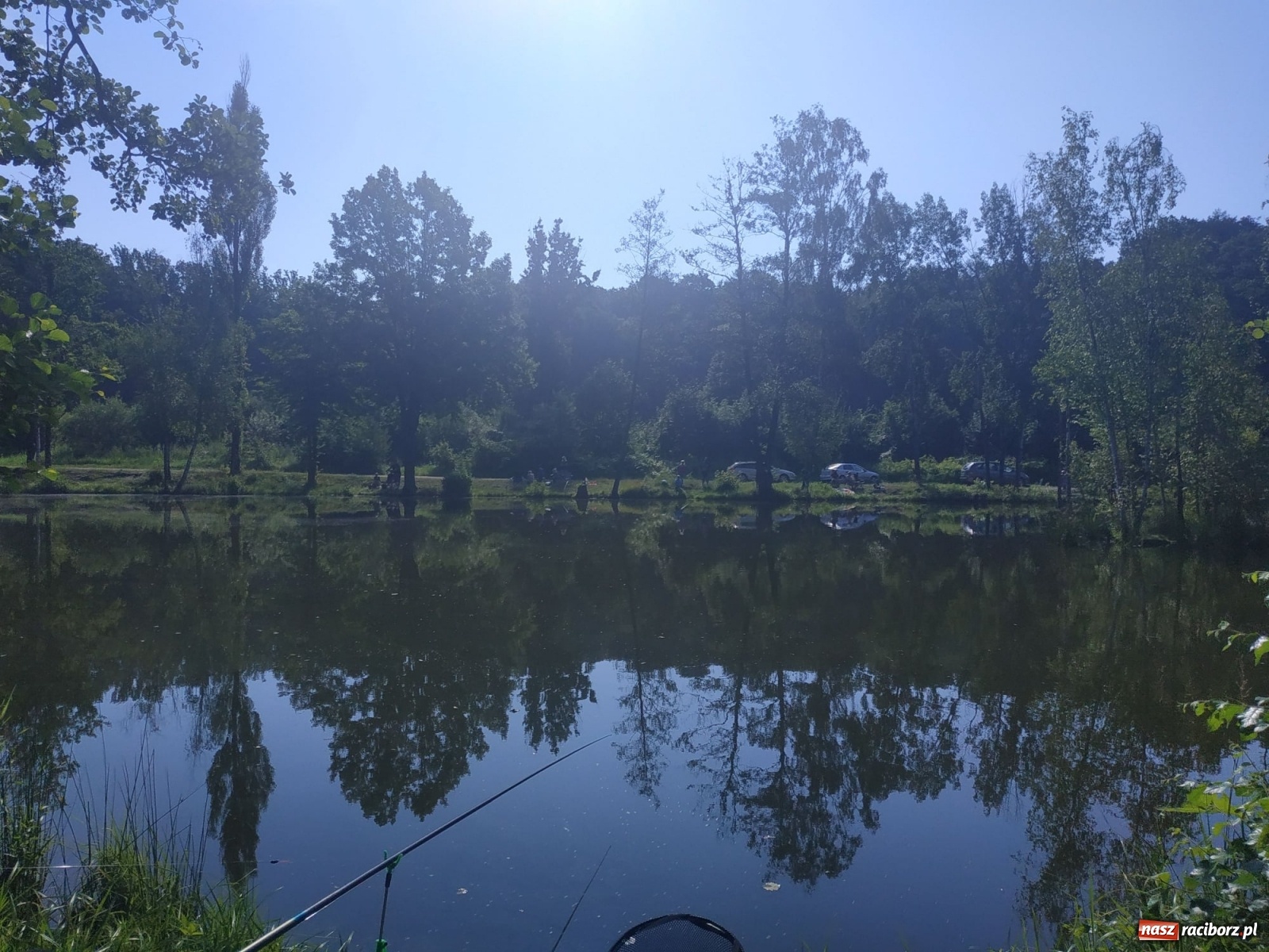 Zdjęcie w galerii na portalu naszraciborz.pl: Młodzi adepci wędkarstwa szukali złotej rybki w Oborze [FOTO] wiadomości z regionu