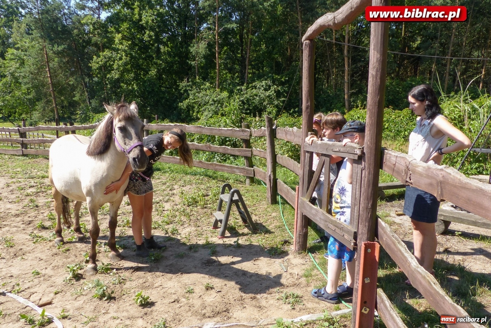 Zdjęcie w galerii na portalu naszraciborz.pl: Pełne atrakcji Lato z biblioteką dla niepełnosprawnych  wiadomości z regionu