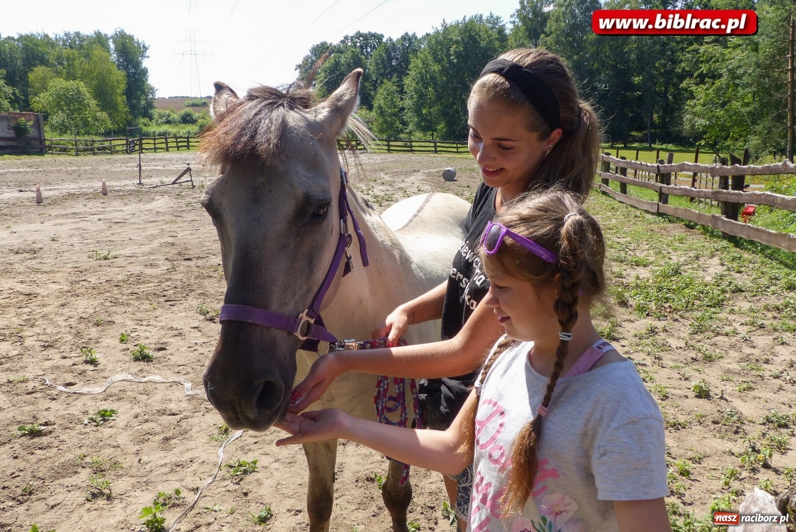 Zdjęcie w galerii na portalu naszraciborz.pl: Pełne atrakcji Lato z biblioteką dla niepełnosprawnych  wiadomości z regionu