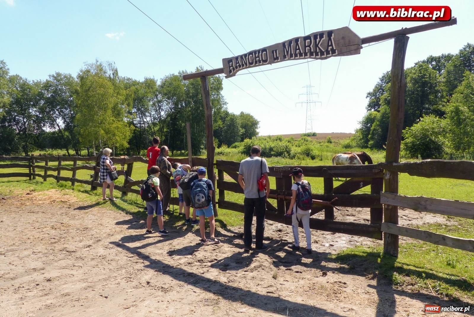 Zdjęcie w galerii na portalu naszraciborz.pl: Pełne atrakcji Lato z biblioteką dla niepełnosprawnych  wiadomości z regionu