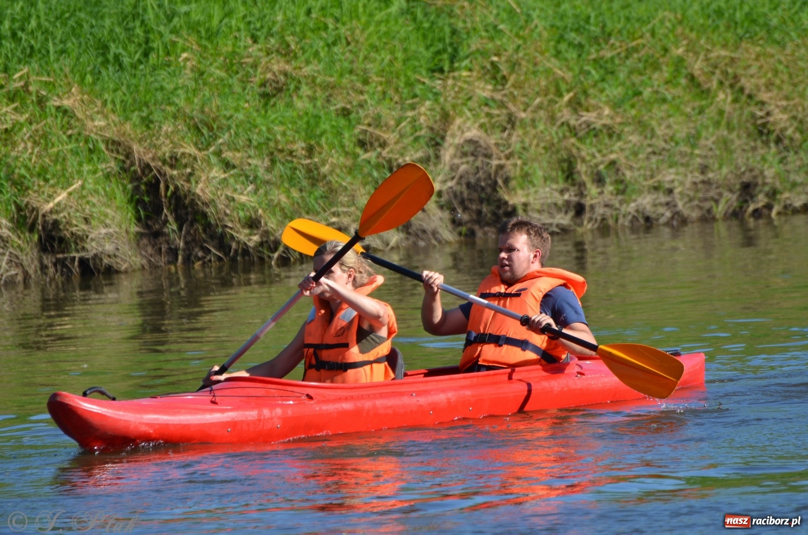 Zdjęcie w galerii na portalu naszraciborz.pl: OSiR zaprasza na kolejny spływ odrzański  wiadomości z regionu