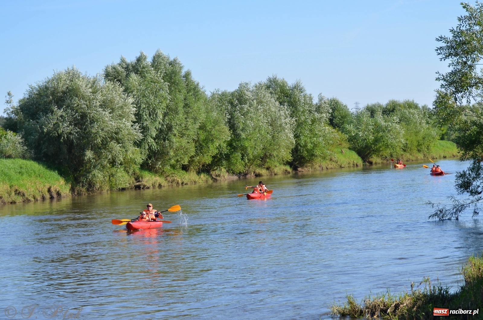 Zdjęcie w galerii na portalu naszraciborz.pl: OSiR zaprasza na kolejny spływ odrzański  wiadomości z regionu