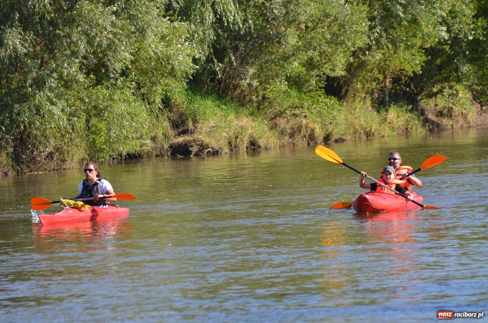 Zdjęcie w galerii na portalu naszraciborz.pl: OSiR zaprasza na kolejny spływ odrzański  wiadomości z regionu