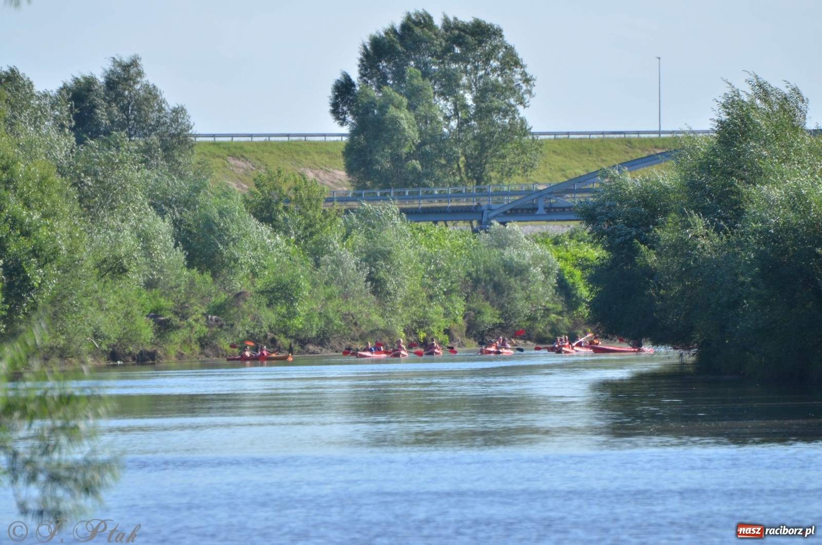 Zdjęcie w galerii na portalu naszraciborz.pl: OSiR zaprasza na kolejny spływ odrzański  wiadomości z regionu