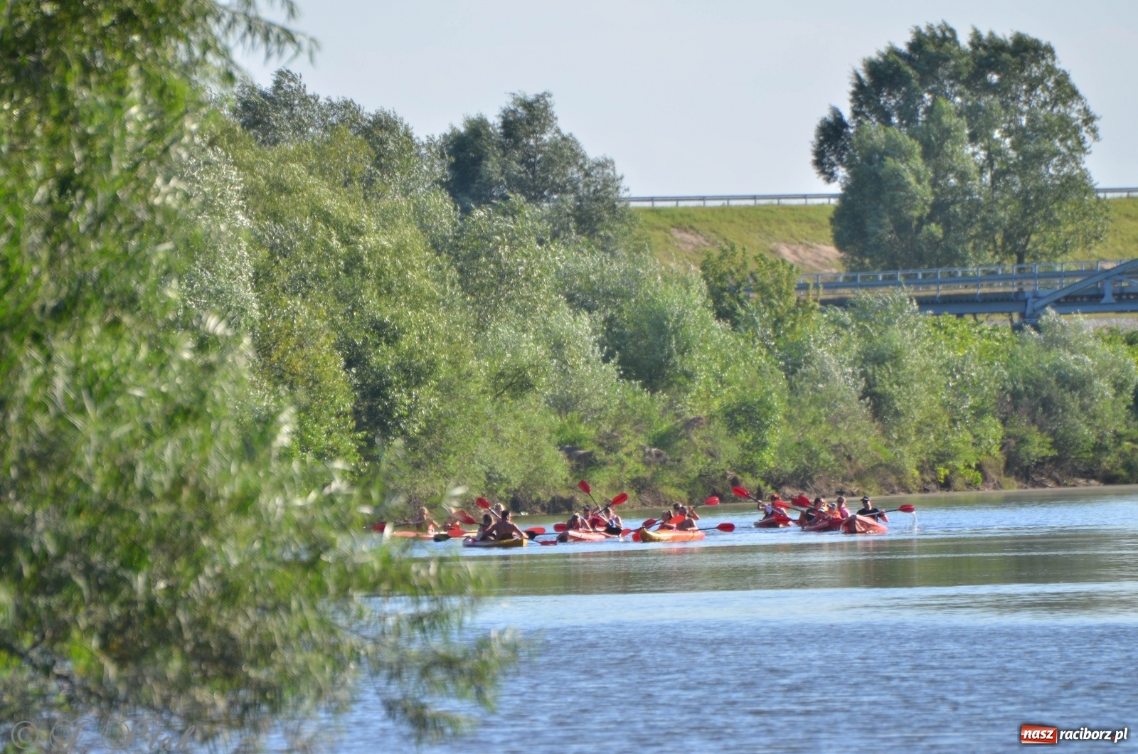 Zdjęcie w galerii na portalu naszraciborz.pl: OSiR zaprasza na kolejny spływ odrzański  wiadomości z regionu