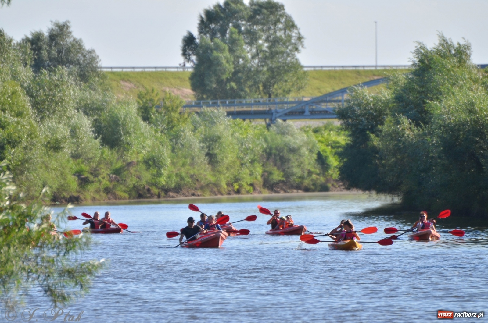 Zdjęcie w galerii na portalu naszraciborz.pl: OSiR zaprasza na kolejny spływ odrzański  wiadomości z regionu