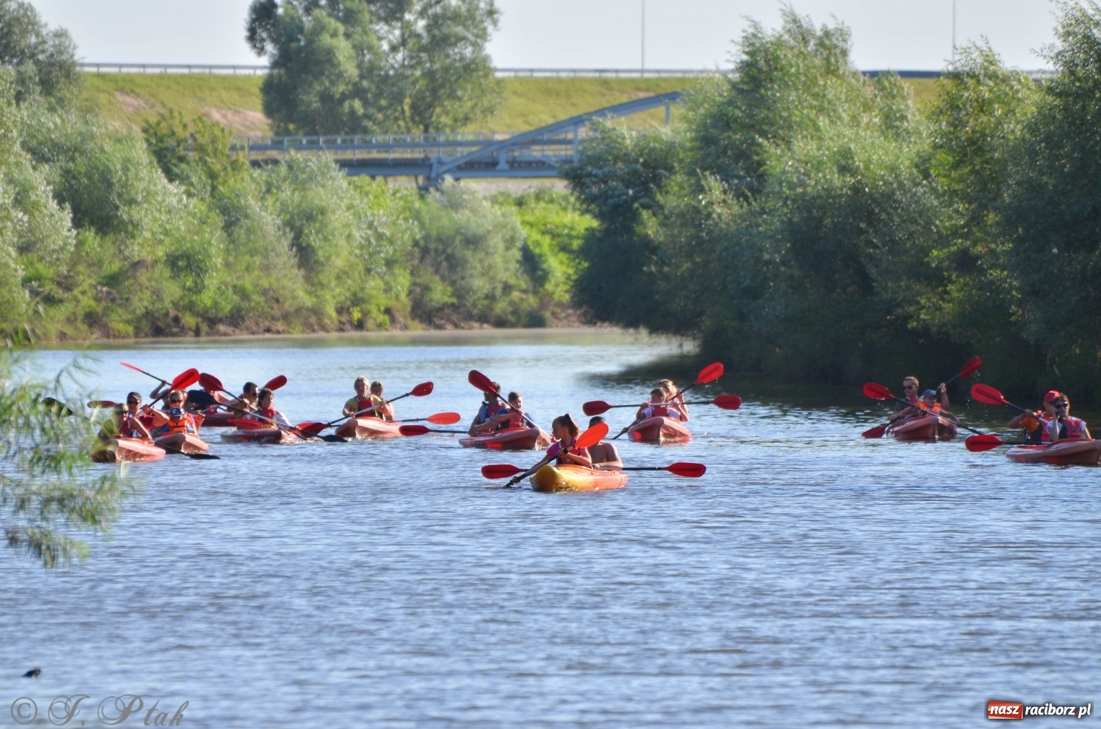 Zdjęcie w galerii na portalu naszraciborz.pl: OSiR zaprasza na kolejny spływ odrzański  wiadomości z regionu