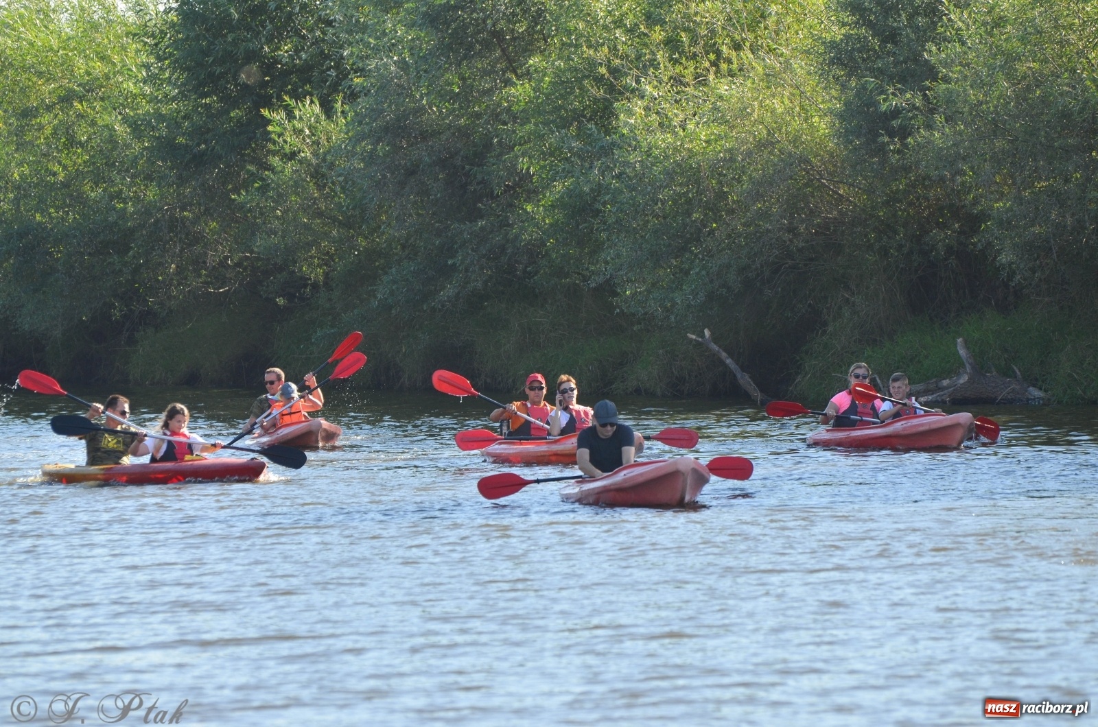 Zdjęcie w galerii na portalu naszraciborz.pl: OSiR zaprasza na kolejny spływ odrzański  wiadomości z regionu