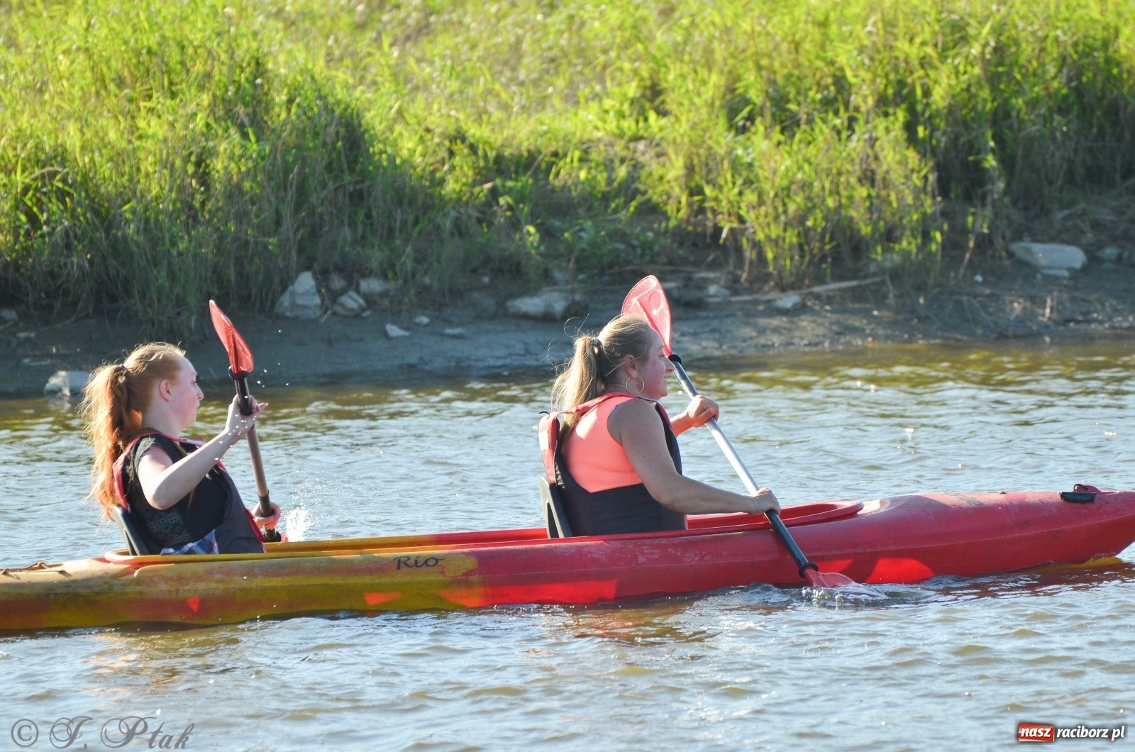 Zdjęcie w galerii na portalu naszraciborz.pl: OSiR zaprasza na kolejny spływ odrzański  wiadomości z regionu