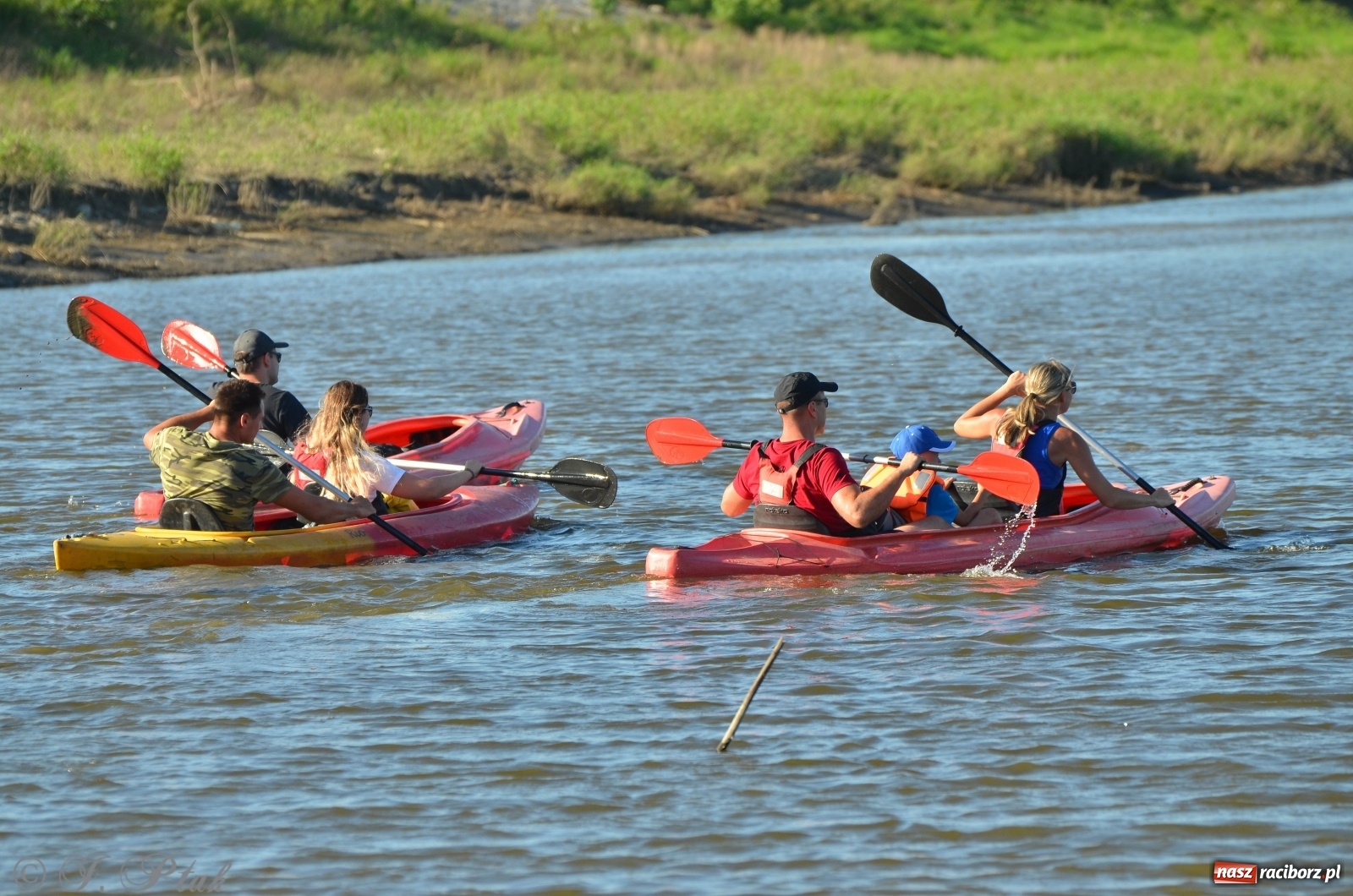 Zdjęcie w galerii na portalu naszraciborz.pl: OSiR zaprasza na kolejny spływ odrzański  wiadomości z regionu