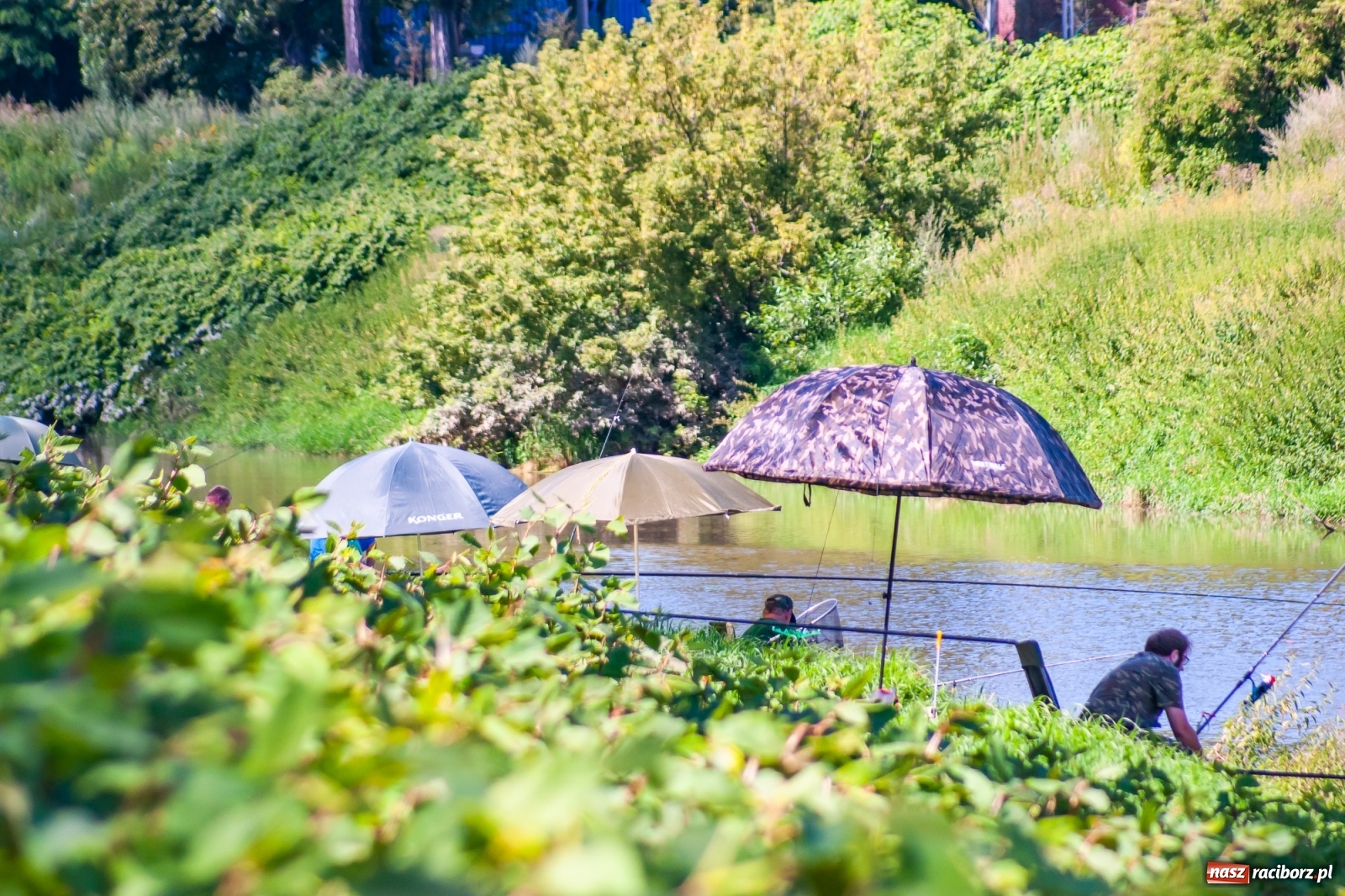 Zdjęcie w galerii na portalu naszraciborz.pl: Zawody wędkarskie Odra 2020 za nami [FOTO] wiadomości z regionu