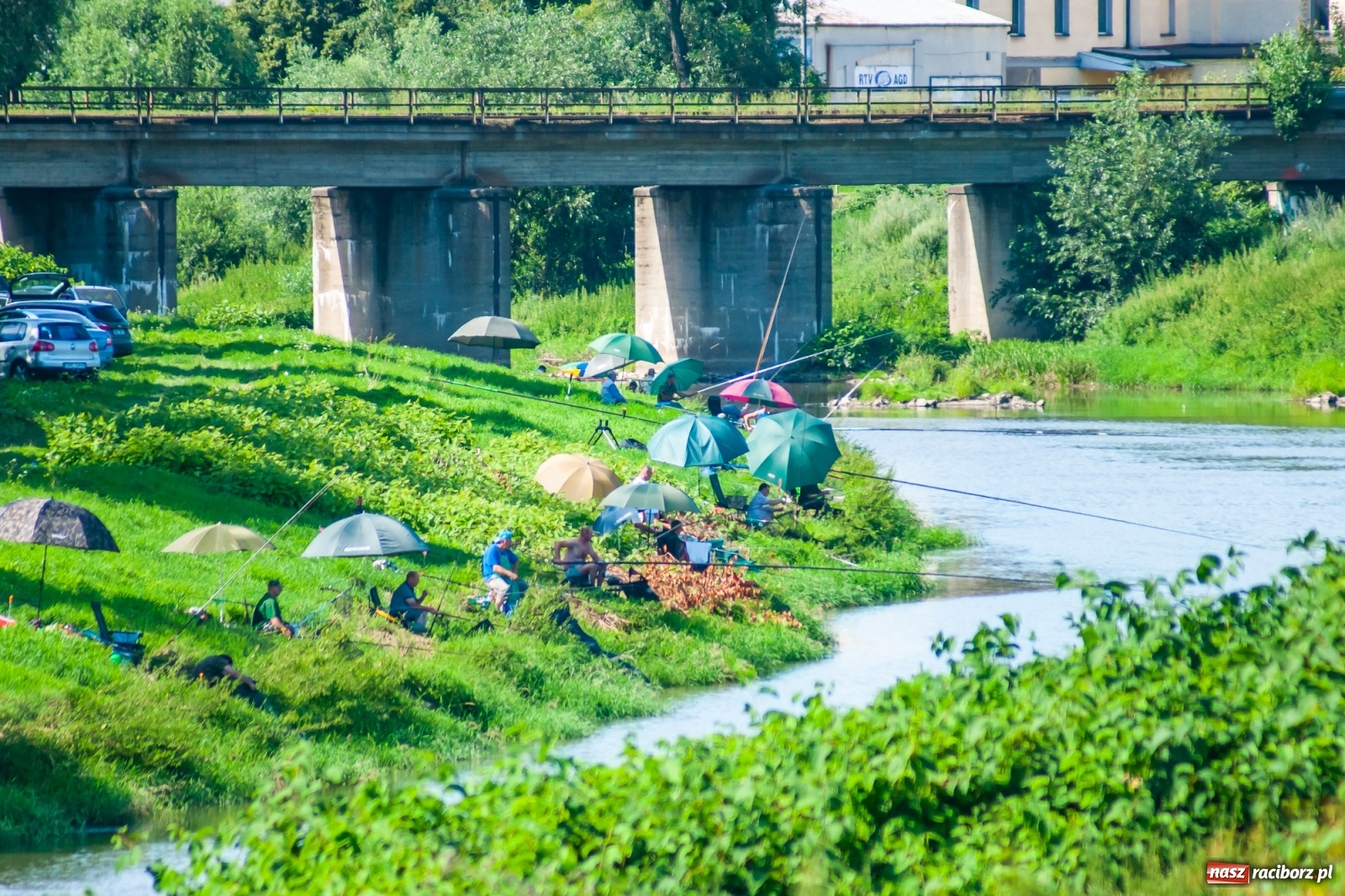 Zdjęcie w galerii na portalu naszraciborz.pl: Zawody wędkarskie Odra 2020 za nami [FOTO] wiadomości z regionu