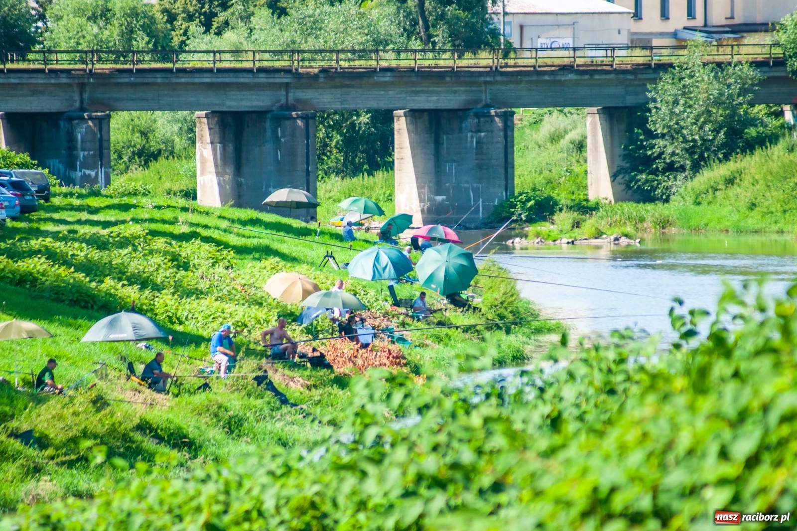 Zdjęcie w galerii na portalu naszraciborz.pl: Zawody wędkarskie Odra 2020 za nami [FOTO] wiadomości z regionu