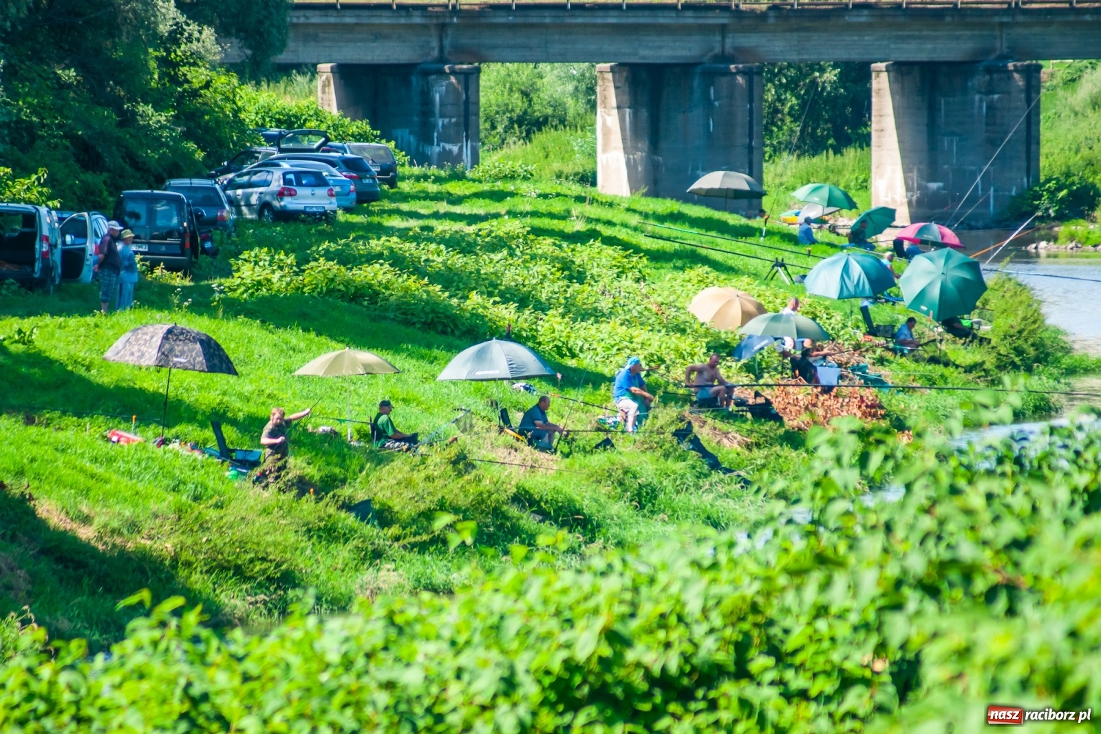 Zdjęcie w galerii na portalu naszraciborz.pl: Zawody wędkarskie Odra 2020 za nami [FOTO] wiadomości z regionu