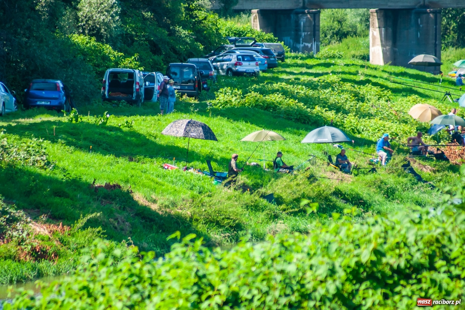 Zdjęcie w galerii na portalu naszraciborz.pl: Zawody wędkarskie Odra 2020 za nami [FOTO] wiadomości z regionu