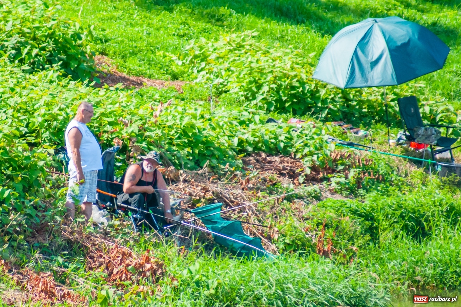 Zdjęcie w galerii na portalu naszraciborz.pl: Zawody wędkarskie Odra 2020 za nami [FOTO] wiadomości z regionu