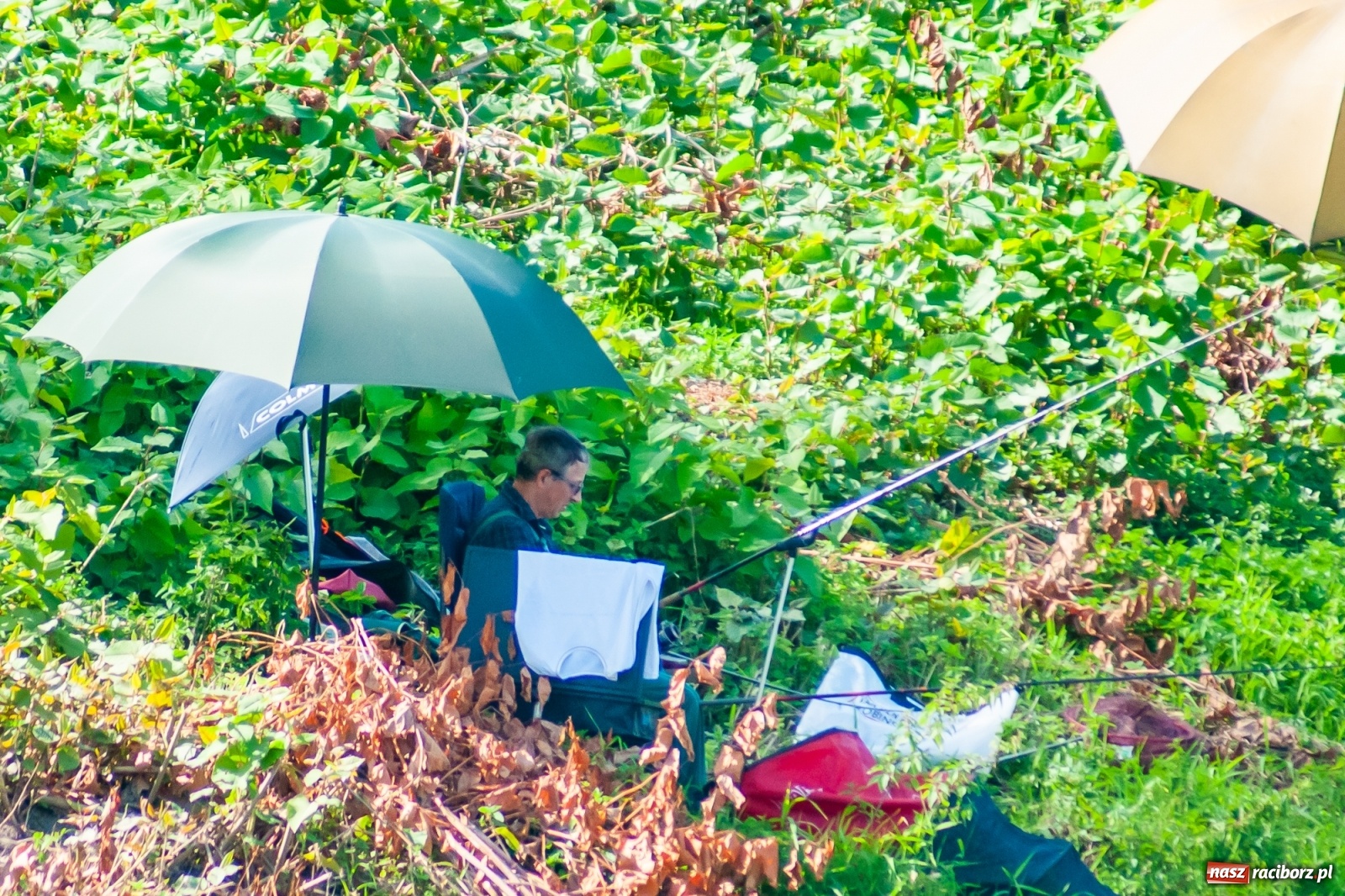 Zdjęcie w galerii na portalu naszraciborz.pl: Zawody wędkarskie Odra 2020 za nami [FOTO] wiadomości z regionu