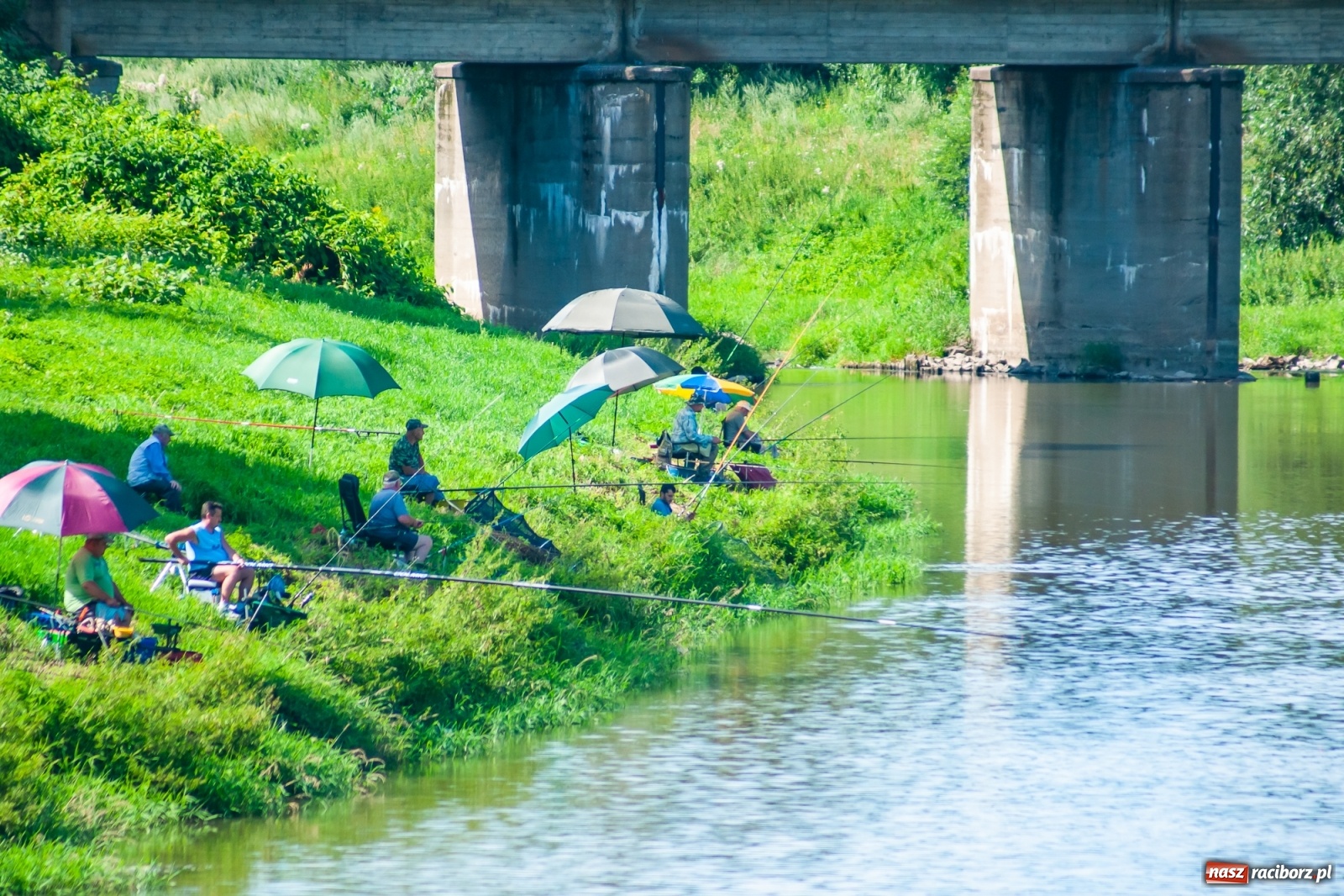 Zdjęcie w galerii na portalu naszraciborz.pl: Zawody wędkarskie Odra 2020 za nami [FOTO] wiadomości z regionu