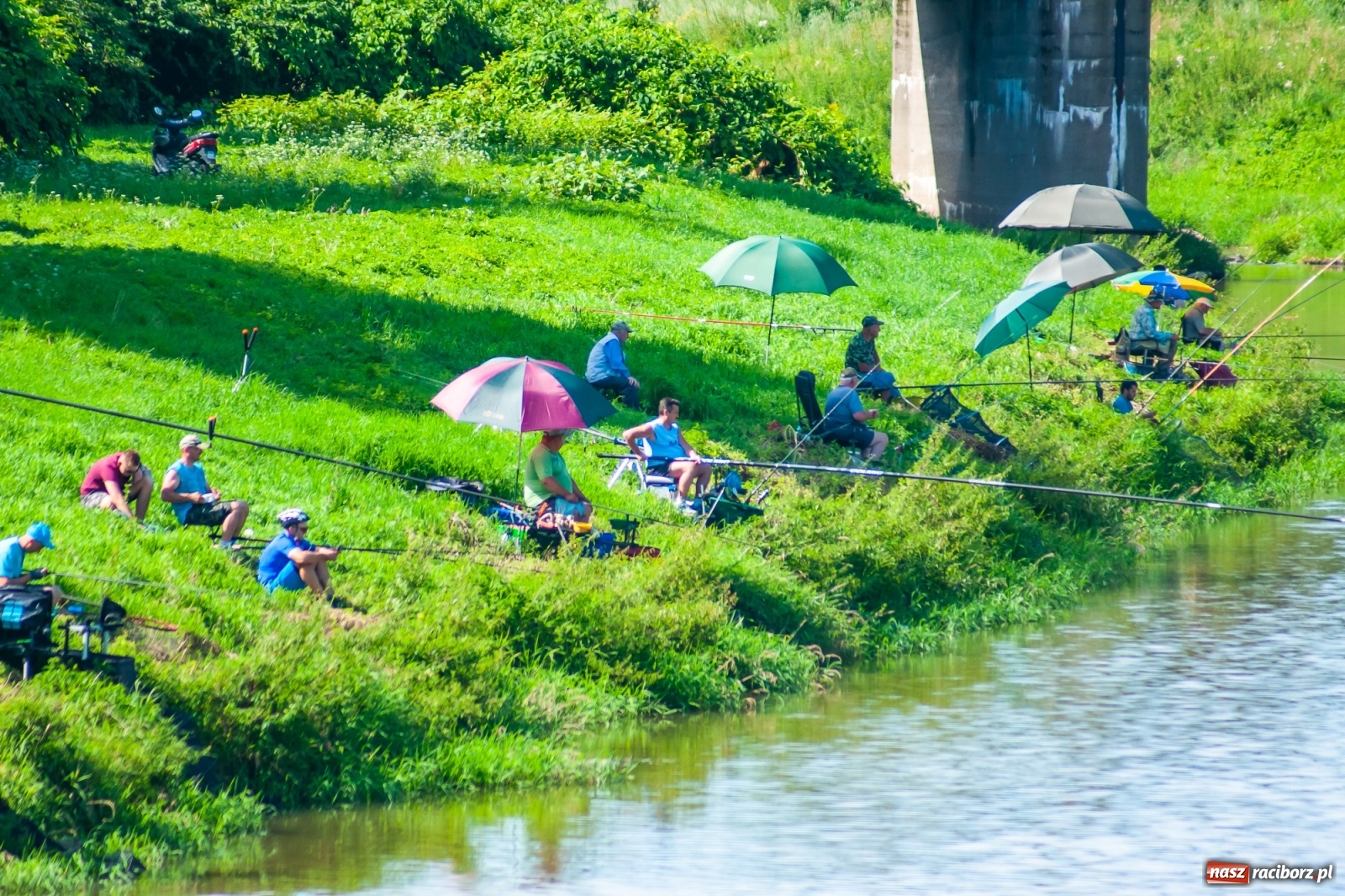 Zdjęcie w galerii na portalu naszraciborz.pl: Zawody wędkarskie Odra 2020 za nami [FOTO] wiadomości z regionu