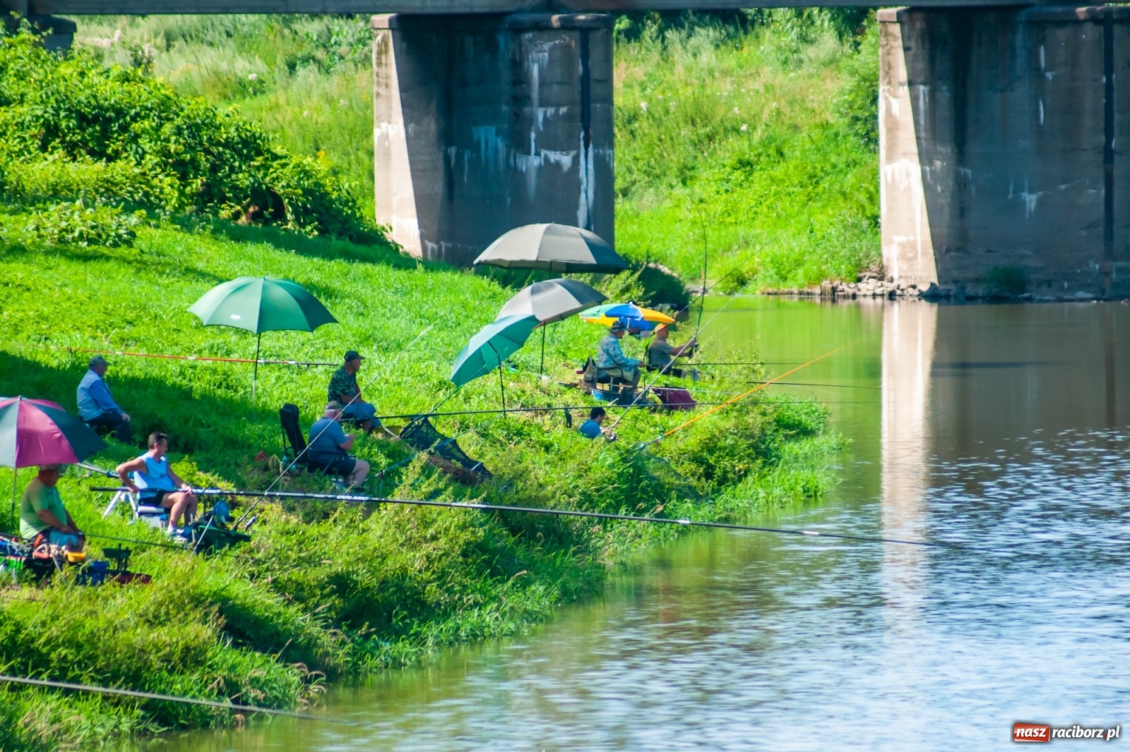 Zdjęcie w galerii na portalu naszraciborz.pl: Zawody wędkarskie Odra 2020 za nami [FOTO] wiadomości z regionu