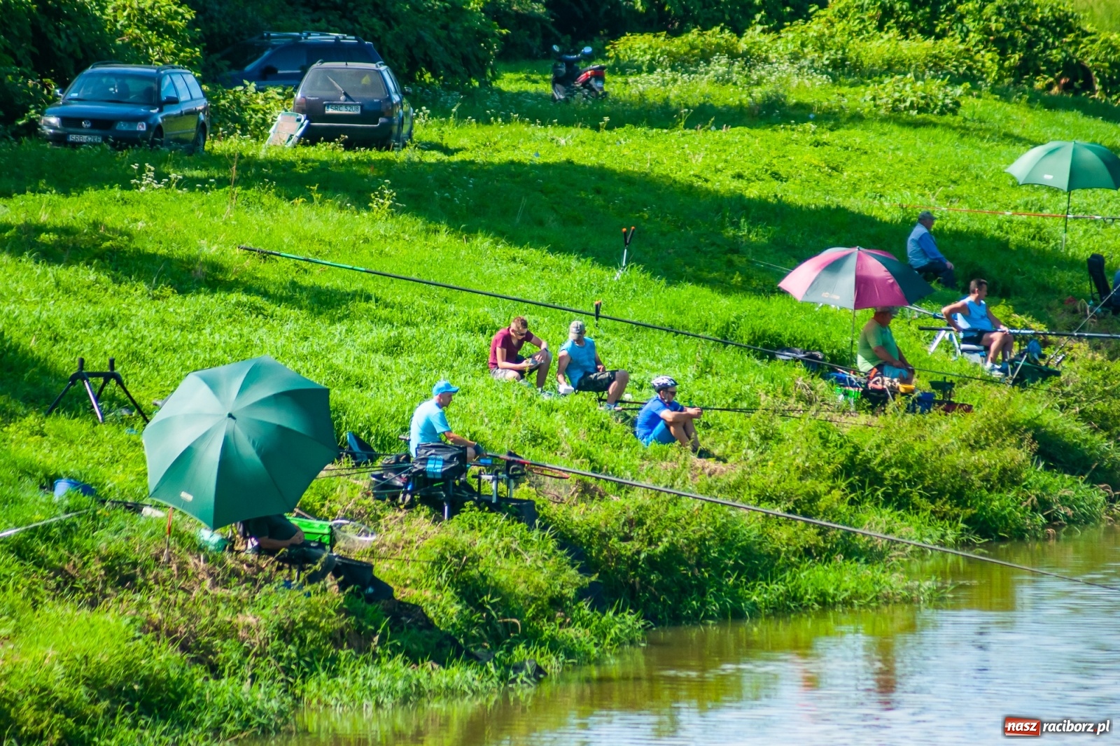 Zdjęcie w galerii na portalu naszraciborz.pl: Zawody wędkarskie Odra 2020 za nami [FOTO] wiadomości z regionu