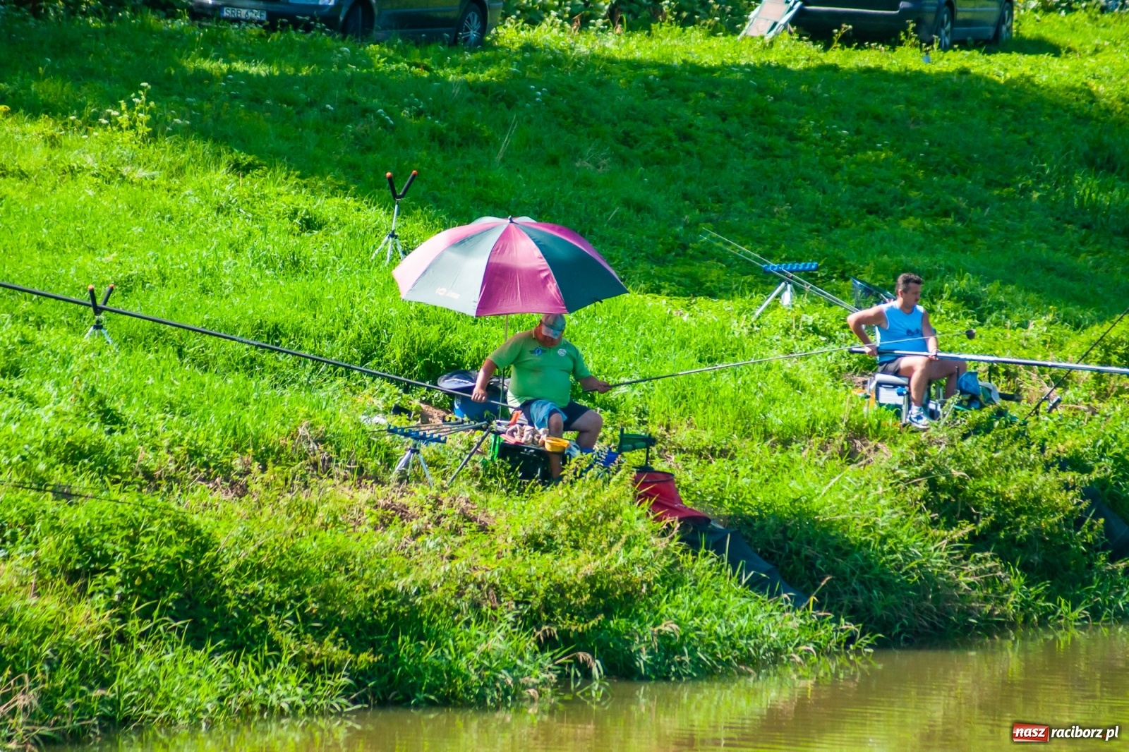 Zdjęcie w galerii na portalu naszraciborz.pl: Zawody wędkarskie Odra 2020 za nami [FOTO] wiadomości z regionu