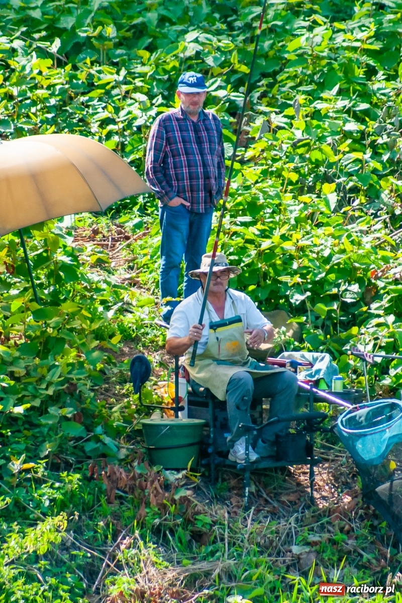 Zdjęcie w galerii na portalu naszraciborz.pl: Zawody wędkarskie Odra 2020 za nami [FOTO] wiadomości z regionu