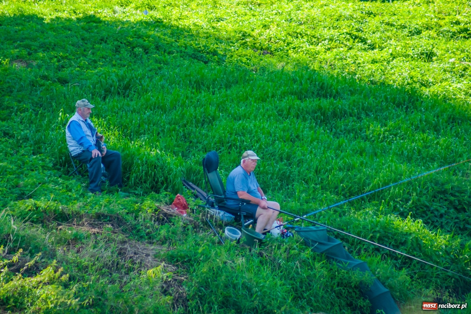 Zdjęcie w galerii na portalu naszraciborz.pl: Zawody wędkarskie Odra 2020 za nami [FOTO] wiadomości z regionu