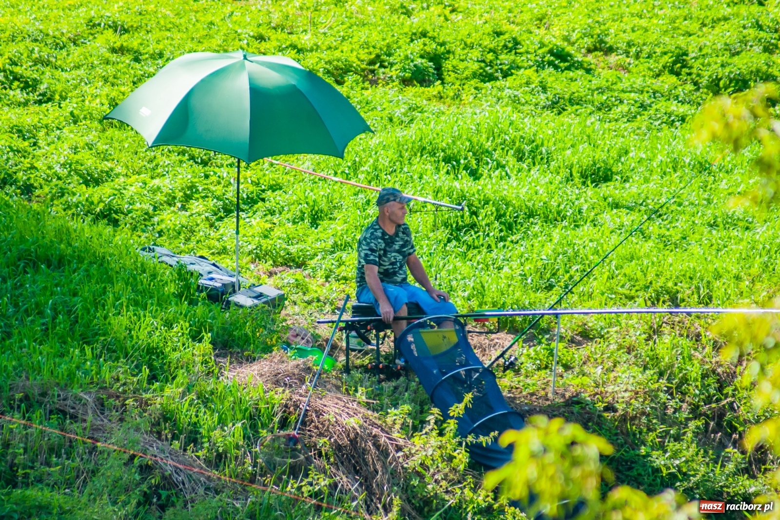 Zdjęcie w galerii na portalu naszraciborz.pl: Zawody wędkarskie Odra 2020 za nami [FOTO] wiadomości z regionu