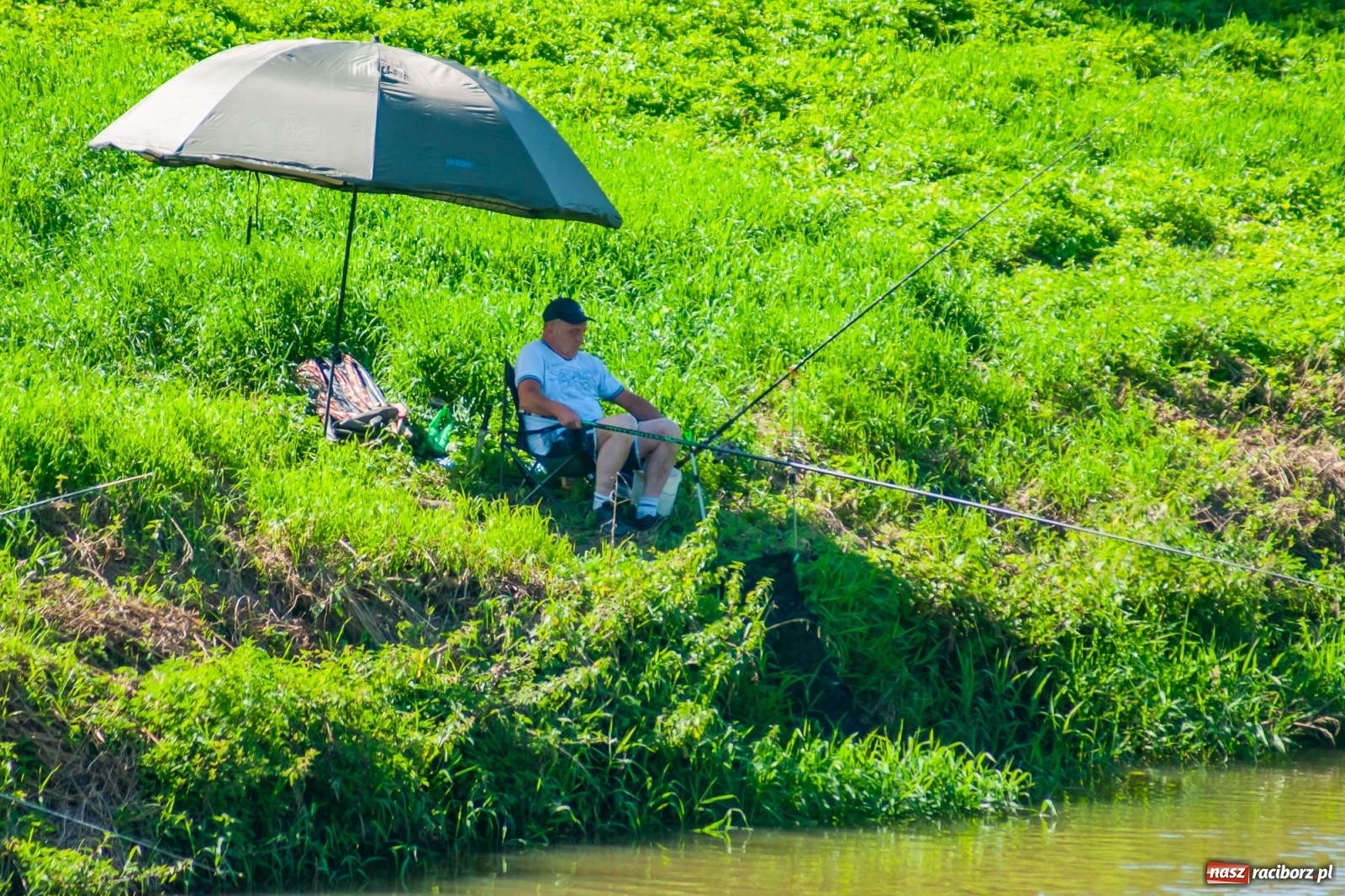 Zdjęcie w galerii na portalu naszraciborz.pl: Zawody wędkarskie Odra 2020 za nami [FOTO] wiadomości z regionu