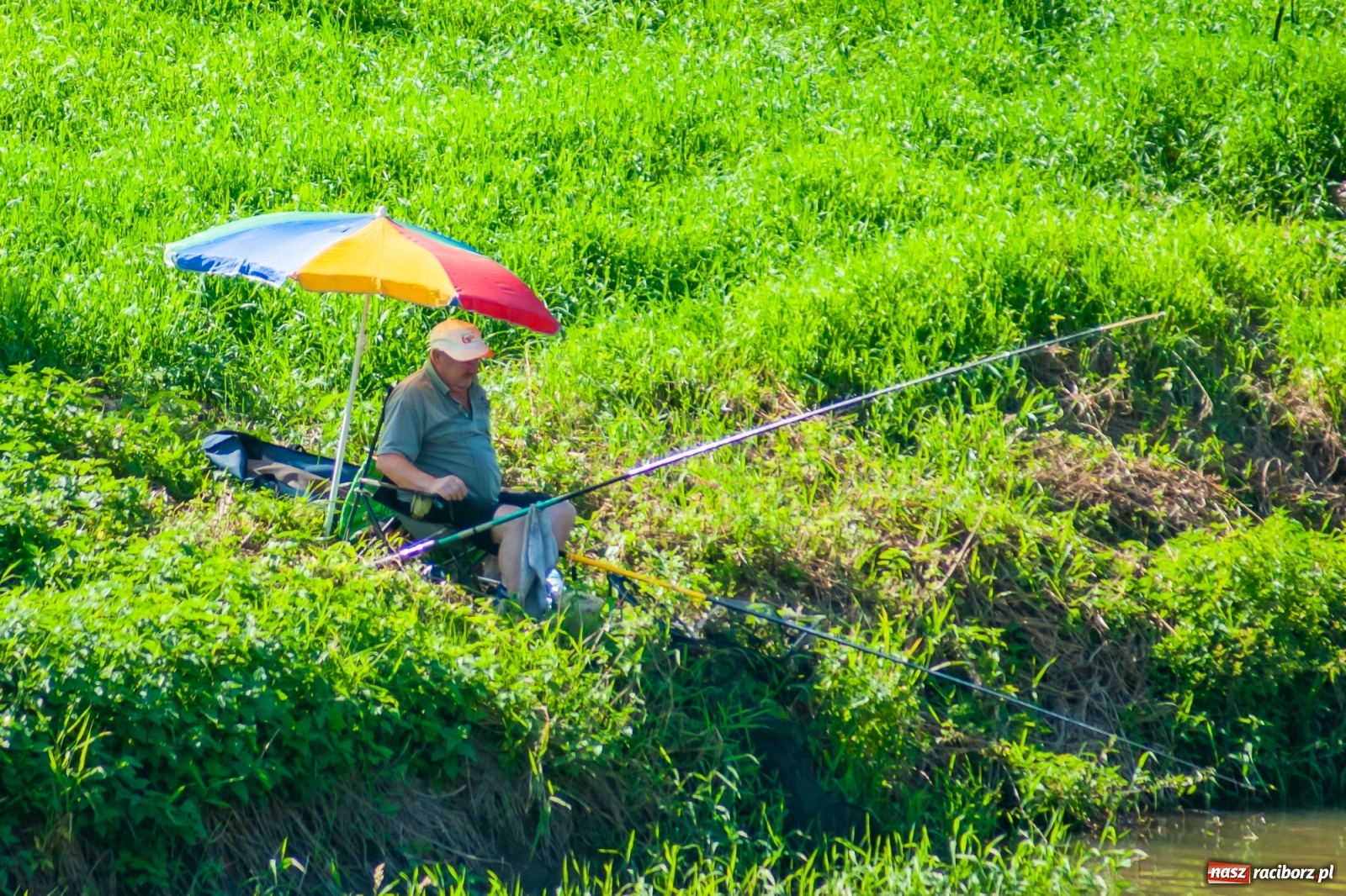 Zdjęcie w galerii na portalu naszraciborz.pl: Zawody wędkarskie Odra 2020 za nami [FOTO] wiadomości z regionu