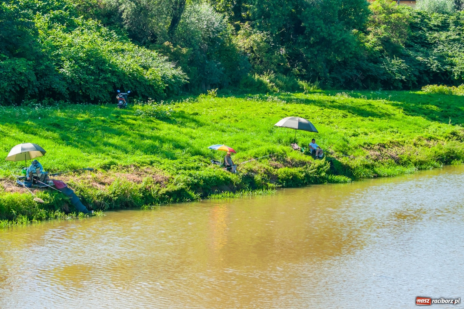 Zdjęcie w galerii na portalu naszraciborz.pl: Zawody wędkarskie Odra 2020 za nami [FOTO] wiadomości z regionu