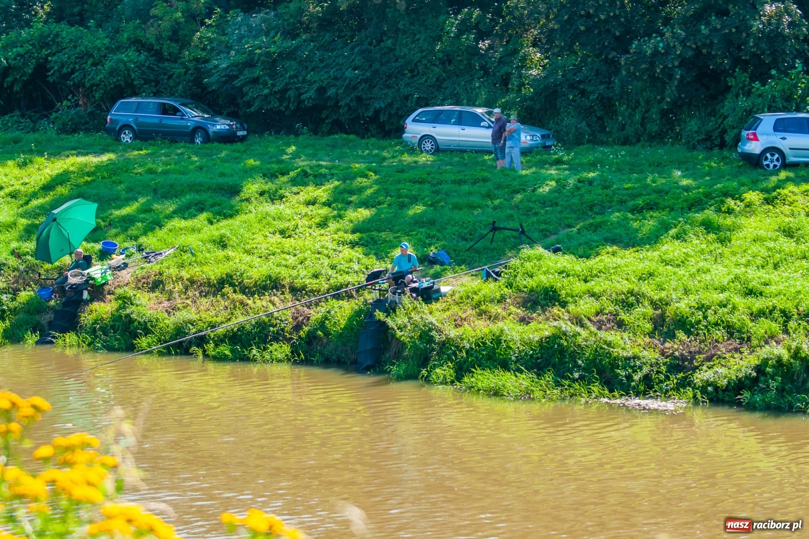 Zdjęcie w galerii na portalu naszraciborz.pl: Zawody wędkarskie Odra 2020 za nami [FOTO] wiadomości z regionu