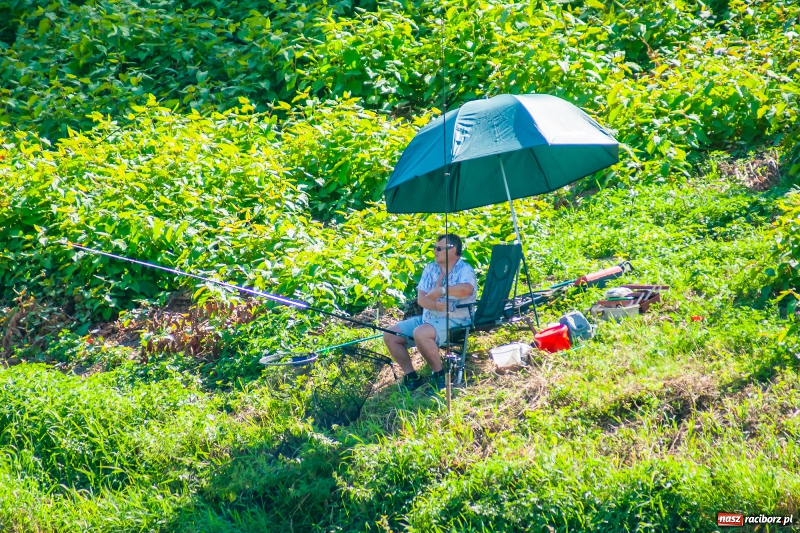 Zdjęcie w galerii na portalu naszraciborz.pl: Zawody wędkarskie Odra 2020 za nami [FOTO] wiadomości z regionu