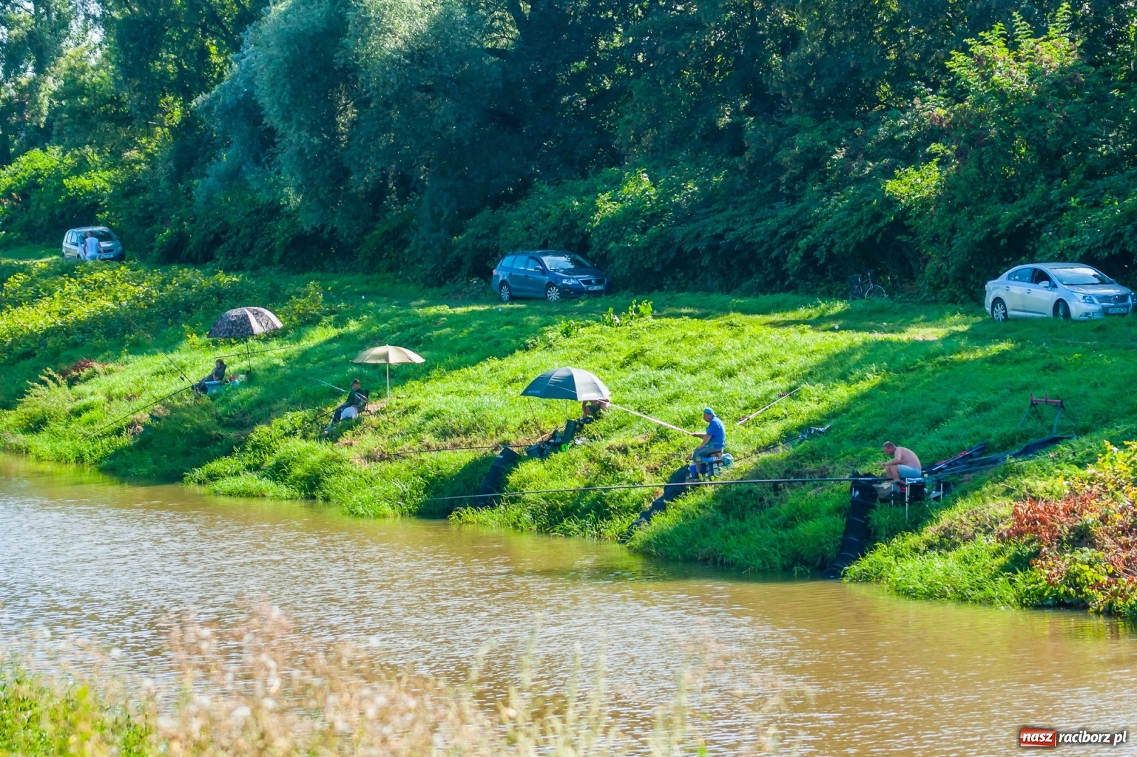 Zdjęcie w galerii na portalu naszraciborz.pl: Zawody wędkarskie Odra 2020 za nami [FOTO] wiadomości z regionu