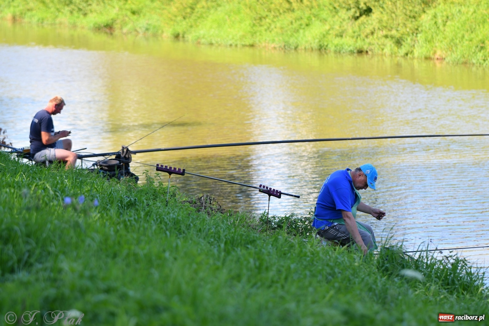 Zdjęcie w galerii na portalu naszraciborz.pl: Zawody wędkarskie Odra 2020 za nami [FOTO] wiadomości z regionu