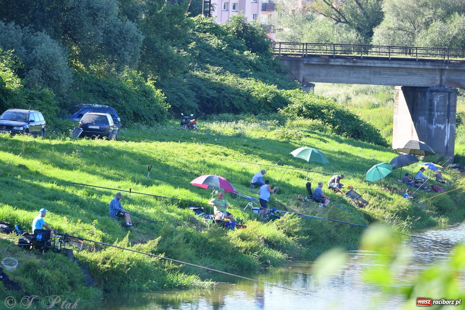 Zdjęcie w galerii na portalu naszraciborz.pl: Zawody wędkarskie Odra 2020 za nami [FOTO] wiadomości z regionu