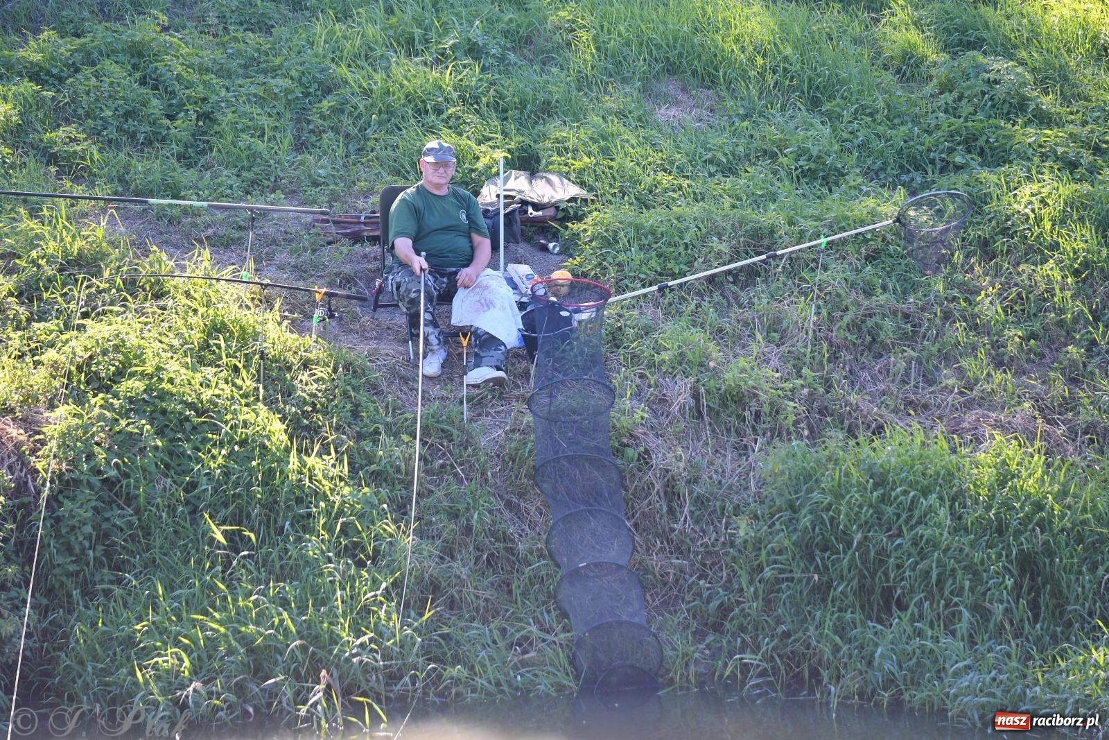 Zdjęcie w galerii na portalu naszraciborz.pl: Zawody wędkarskie Odra 2020 za nami [FOTO] wiadomości z regionu