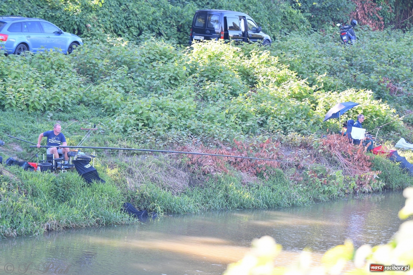 Zdjęcie w galerii na portalu naszraciborz.pl: Zawody wędkarskie Odra 2020 za nami [FOTO] wiadomości z regionu