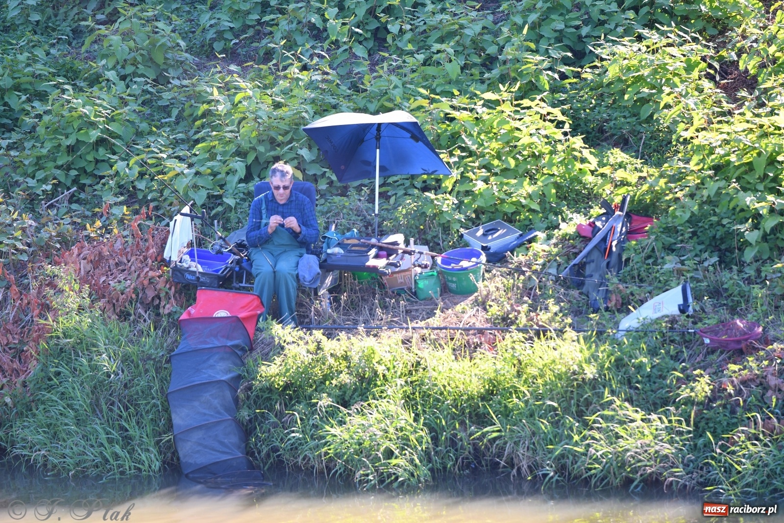 Zdjęcie w galerii na portalu naszraciborz.pl: Zawody wędkarskie Odra 2020 za nami [FOTO] wiadomości z regionu
