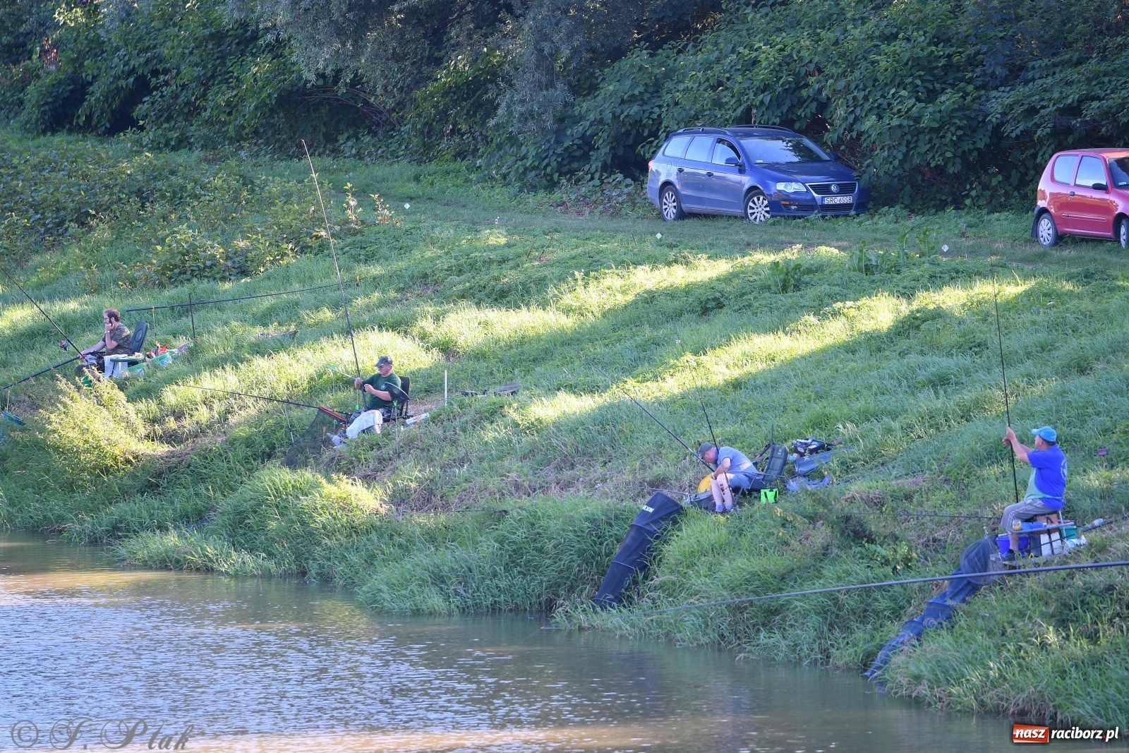 Zdjęcie w galerii na portalu naszraciborz.pl: Zawody wędkarskie Odra 2020 za nami [FOTO] wiadomości z regionu