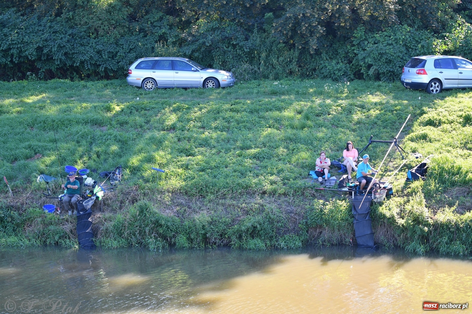 Zdjęcie w galerii na portalu naszraciborz.pl: Zawody wędkarskie Odra 2020 za nami [FOTO] wiadomości z regionu