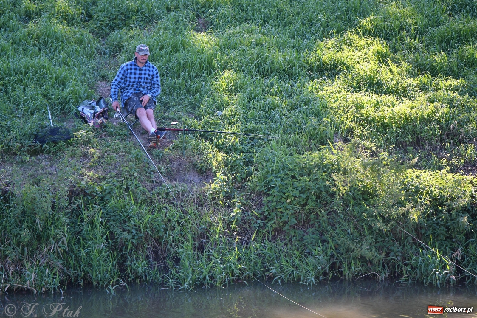 Zdjęcie w galerii na portalu naszraciborz.pl: Zawody wędkarskie Odra 2020 za nami [FOTO] wiadomości z regionu