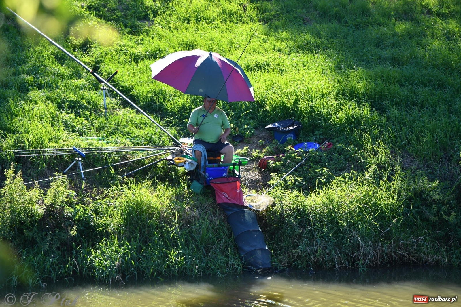 Zdjęcie w galerii na portalu naszraciborz.pl: Zawody wędkarskie Odra 2020 za nami [FOTO] wiadomości z regionu