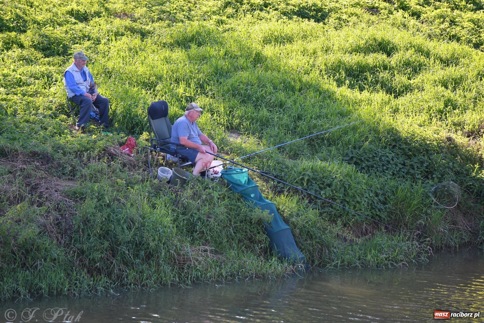 Zdjęcie w galerii na portalu naszraciborz.pl: Zawody wędkarskie Odra 2020 za nami [FOTO] wiadomości z regionu