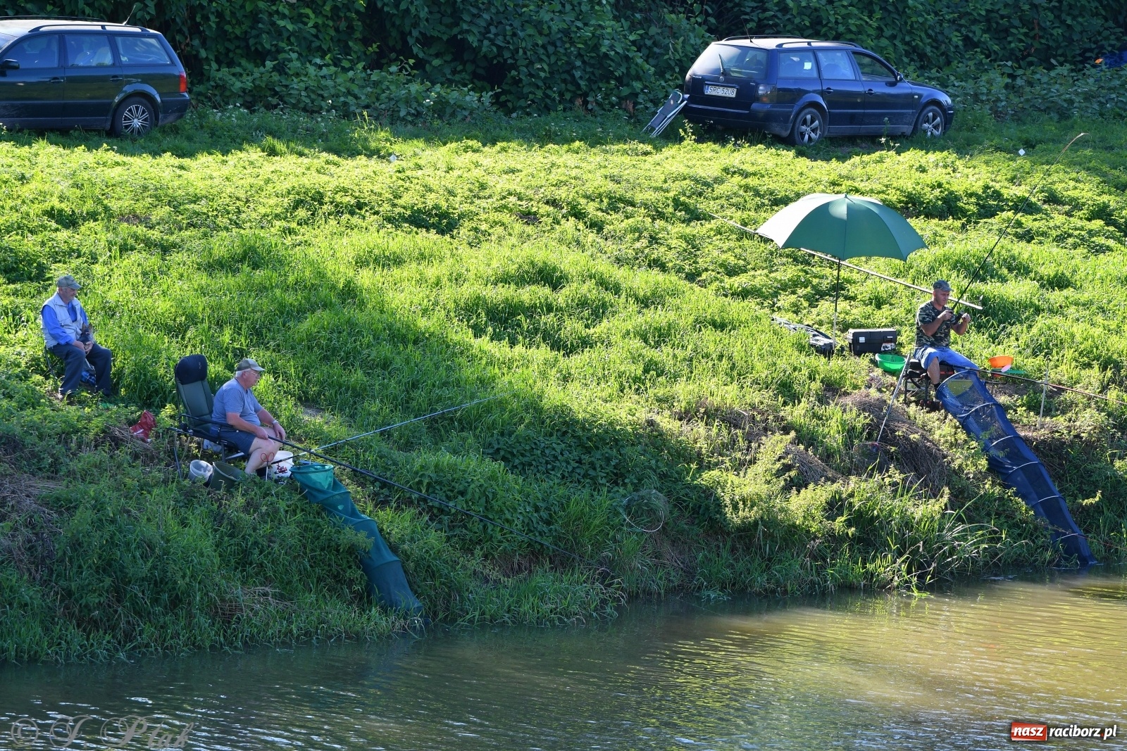 Zdjęcie w galerii na portalu naszraciborz.pl: Zawody wędkarskie Odra 2020 za nami [FOTO] wiadomości z regionu