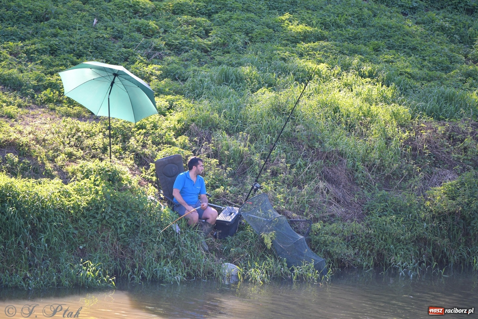 Zdjęcie w galerii na portalu naszraciborz.pl: Zawody wędkarskie Odra 2020 za nami [FOTO] wiadomości z regionu