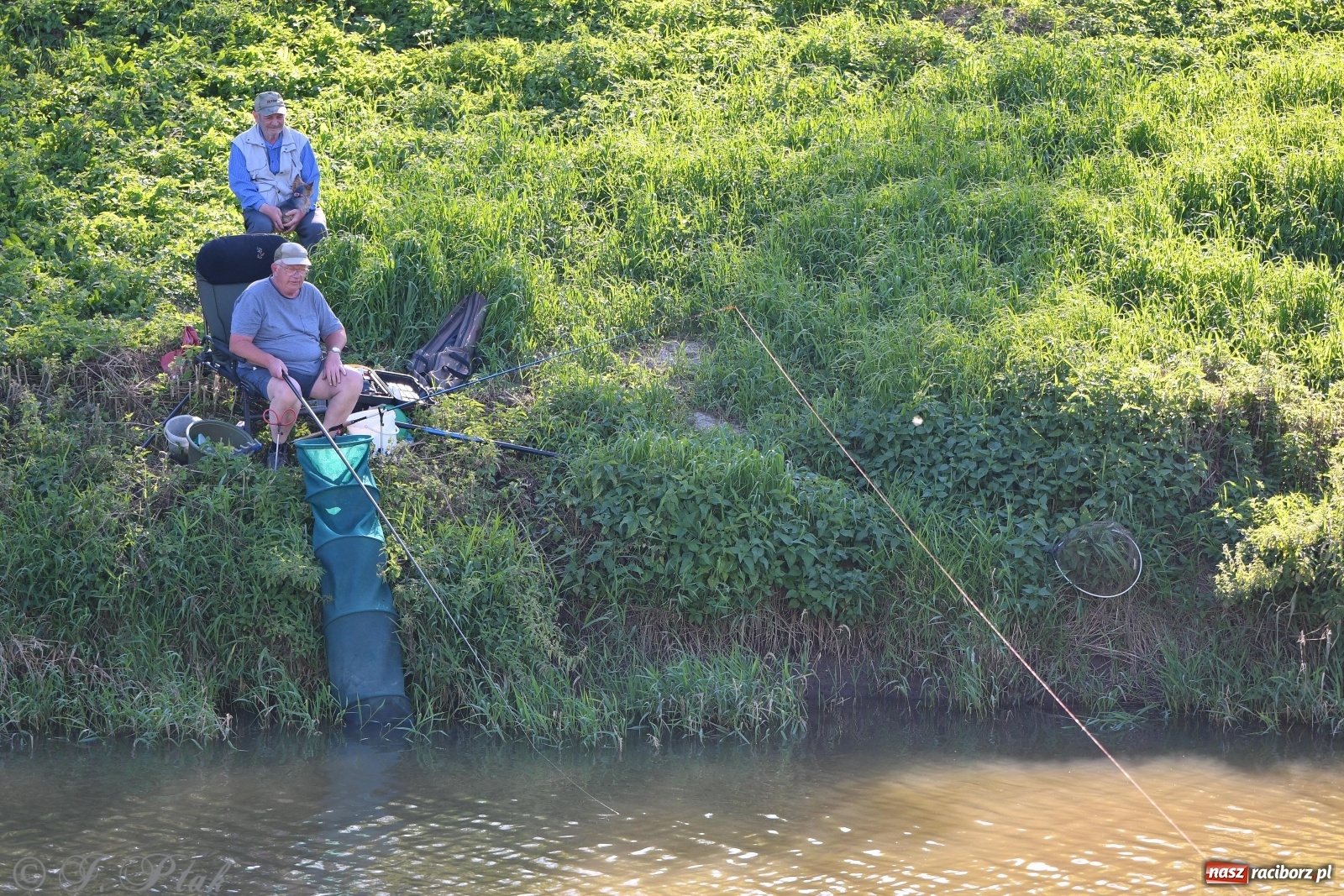 Zdjęcie w galerii na portalu naszraciborz.pl: Zawody wędkarskie Odra 2020 za nami [FOTO] wiadomości z regionu