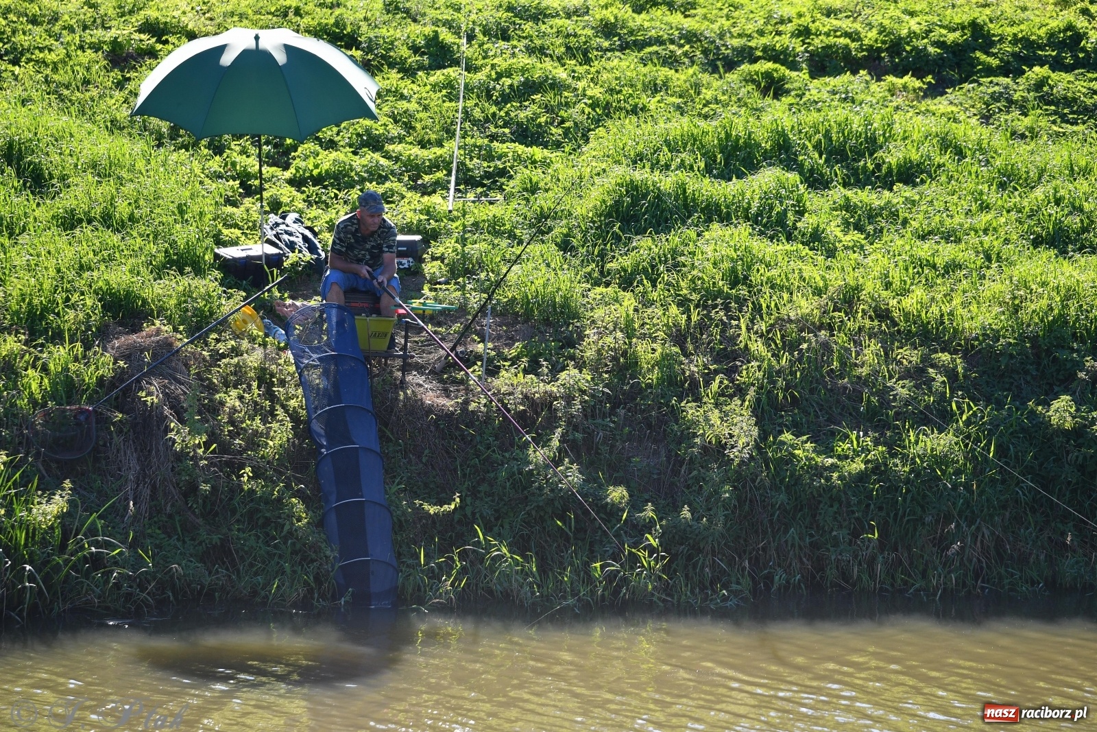 Zdjęcie w galerii na portalu naszraciborz.pl: Zawody wędkarskie Odra 2020 za nami [FOTO] wiadomości z regionu
