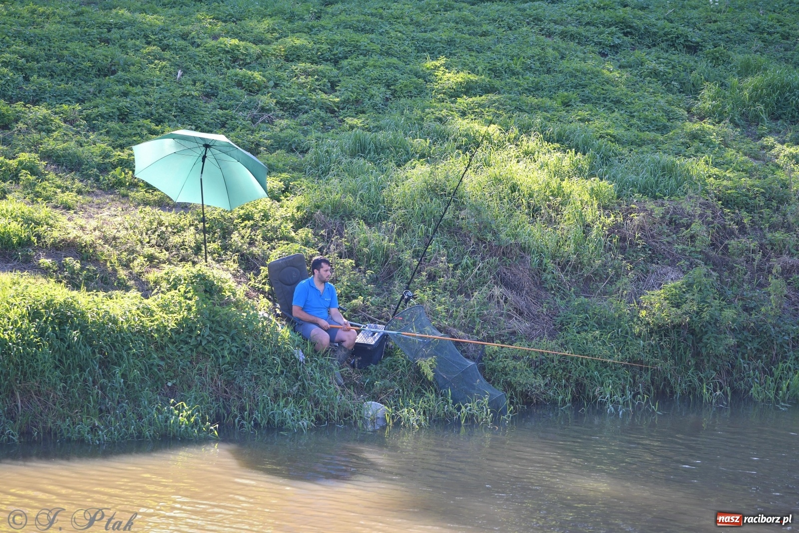 Zdjęcie w galerii na portalu naszraciborz.pl: Zawody wędkarskie Odra 2020 za nami [FOTO] wiadomości z regionu
